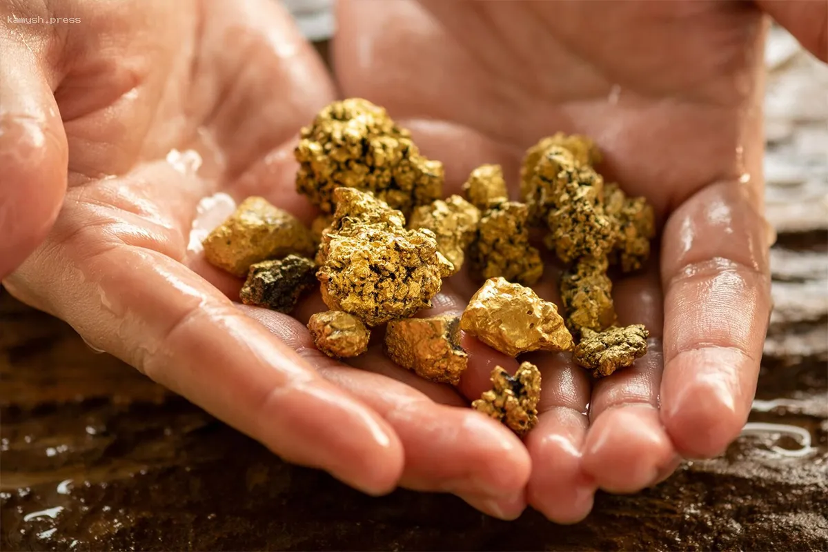 Фермер из Франции обнаружил 150 тонн золота