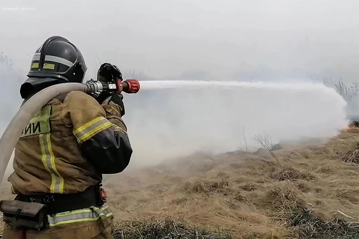 Все лесные пожары ликвидированы в Еврейской АО