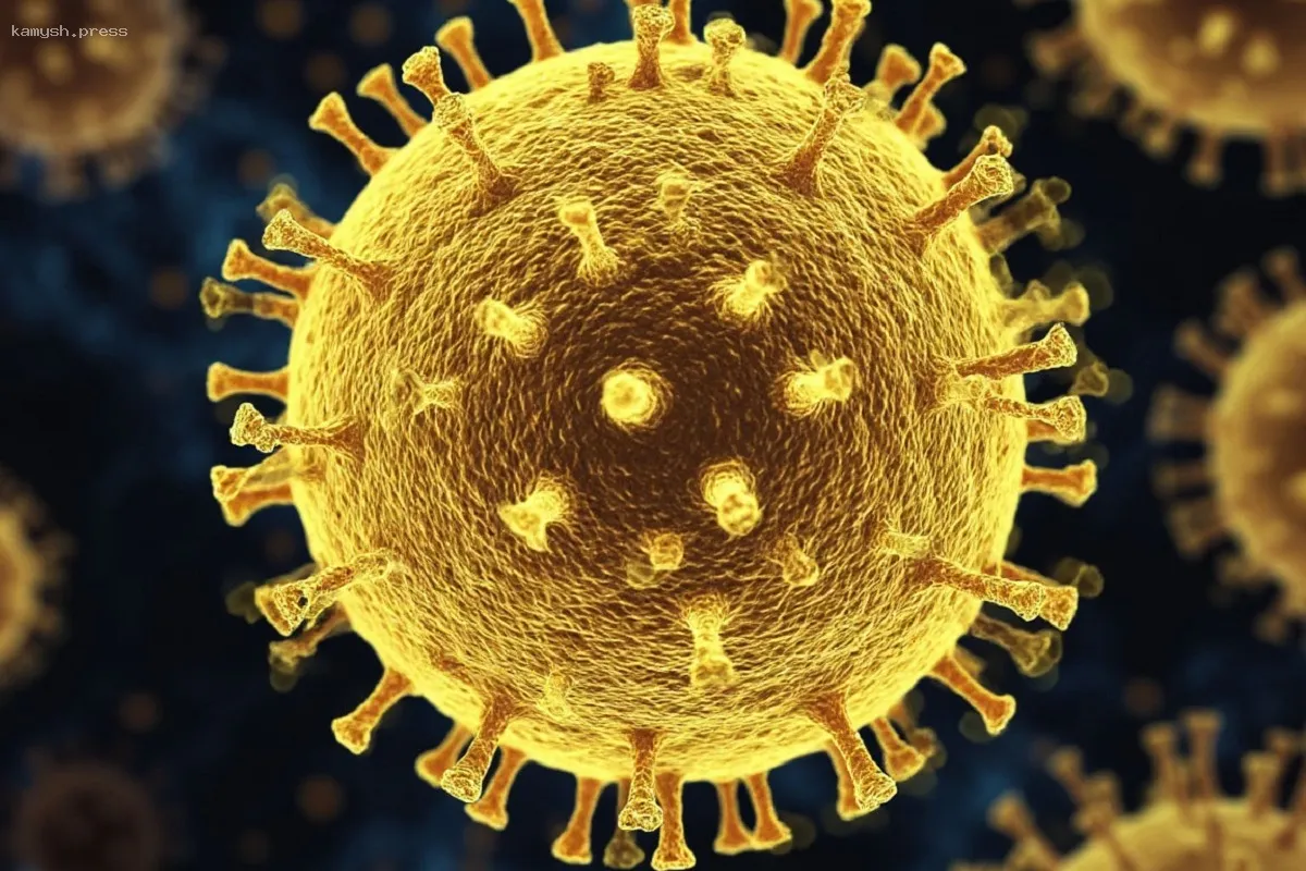 Риск заражения желтой лихорадкой в России из-за туристов из Колумбии