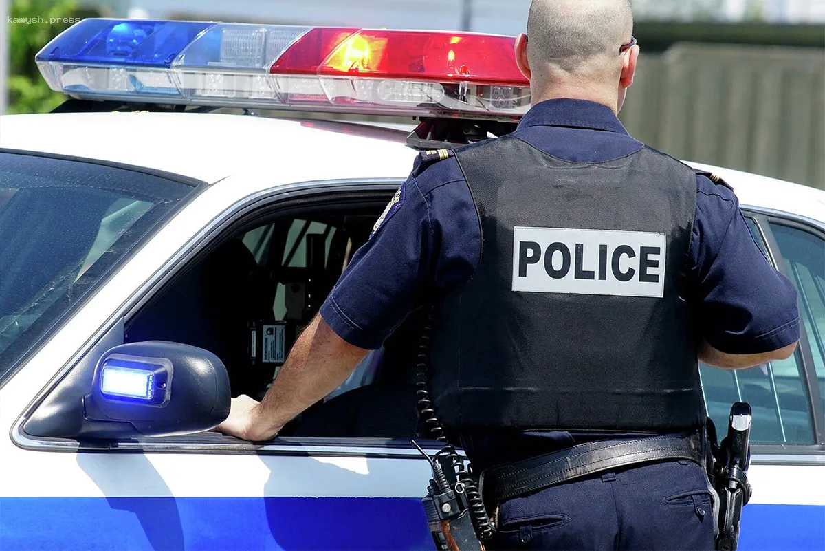 В Лос-Анджелесе арестована супруга басиста группы Weezer