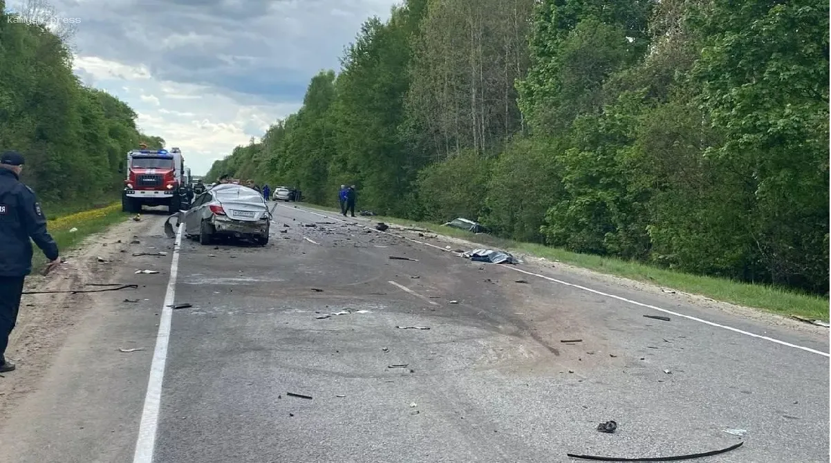 Опубликовано число жертв в массовом ДТП с автобусом под Курском