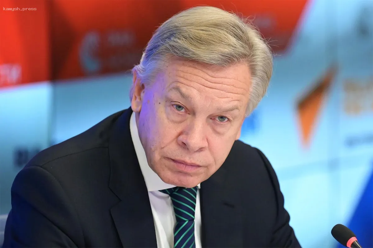 Пушков остро прокомментировал события в Румынии