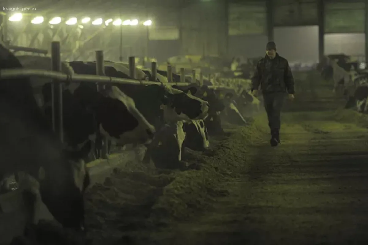 В Волгоградской области выявили лейкоз у крупного рогатого скота