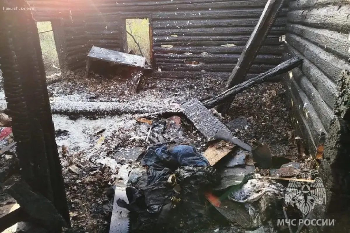 В Мордовии обрушившаяся опора ЛЭП стала причиной масштабного пожара