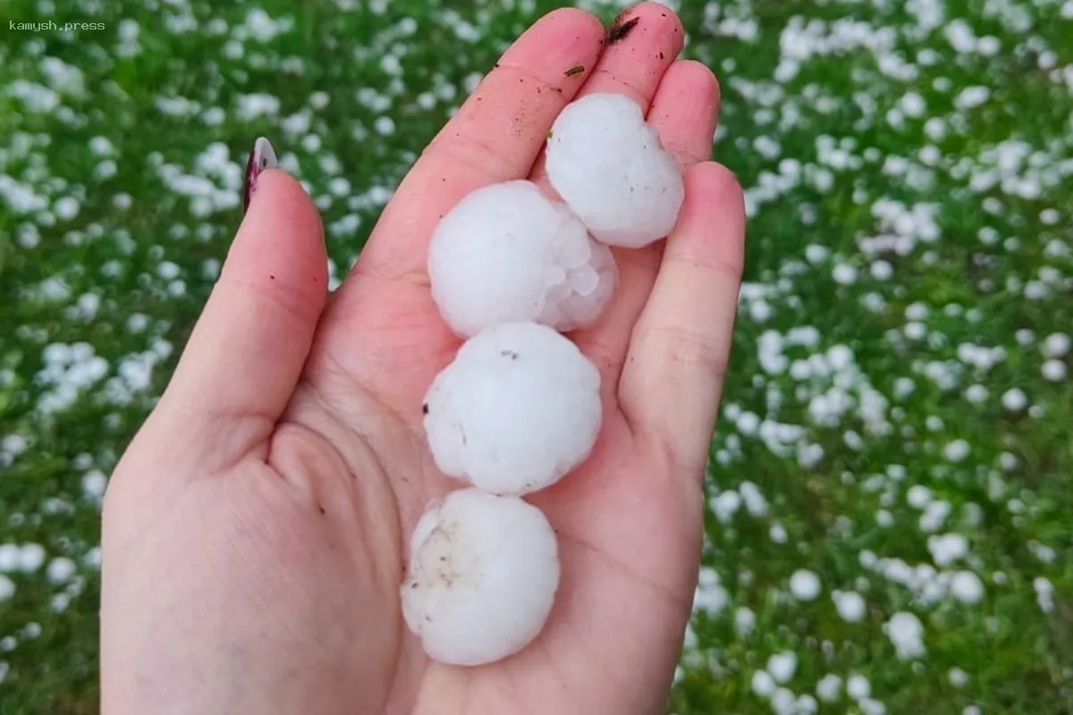 Град величиной с перепелиное яйцо обрушился на Новгородскую область