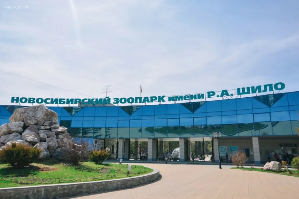 Новосибирский зоопарк намерен установить автоматические шлагбаумы