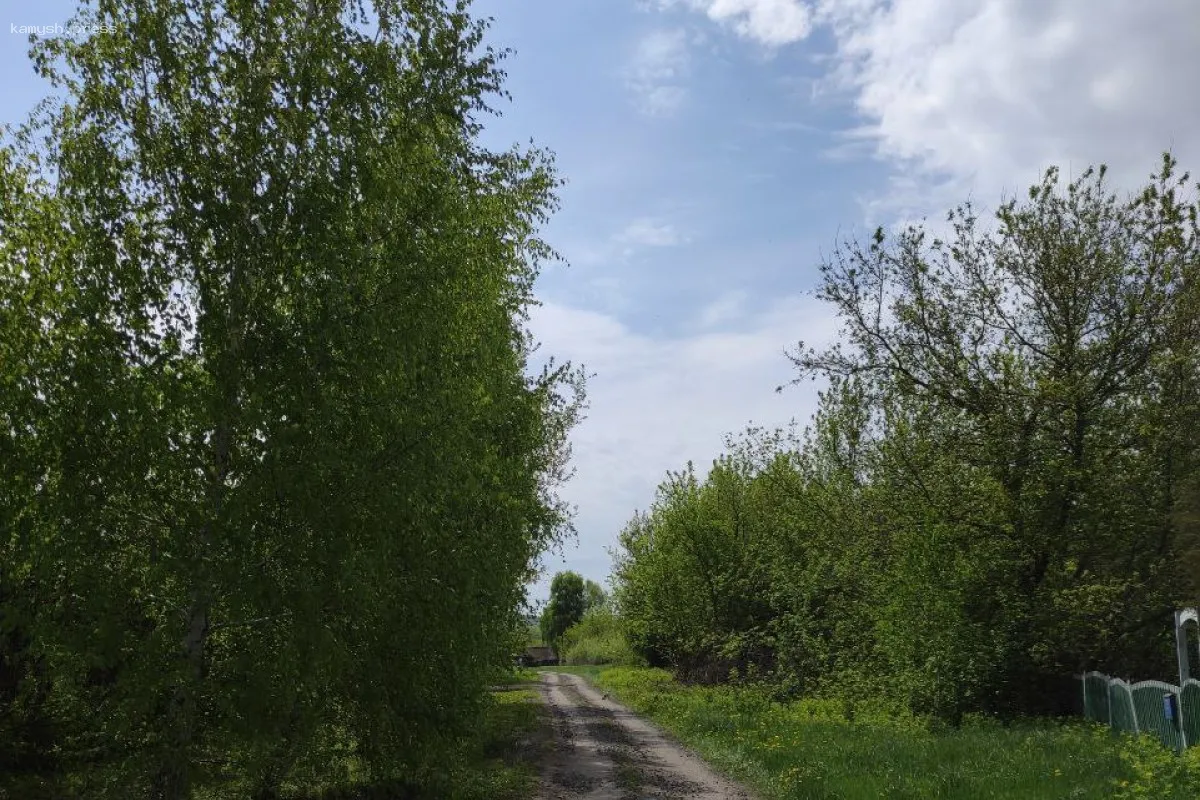 Иммунолог дал рекомендации по защите от аллергии на пыльцу