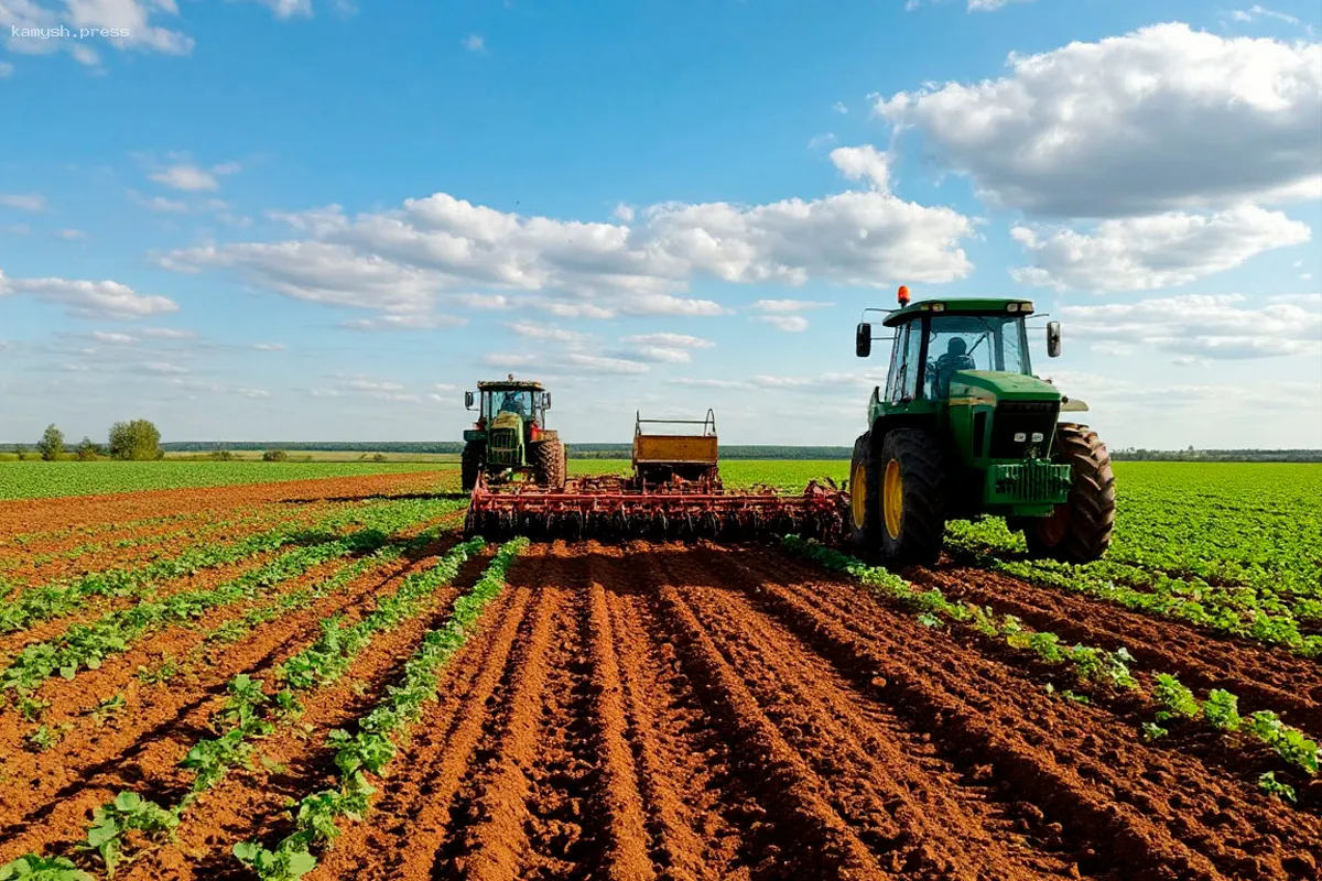 Аграрии Нижегородской области начали сеять яровые культуры на площади 560 тысяч гектаров