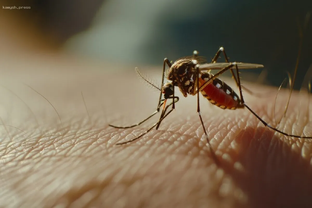 Опасность на горизонте: ученые предупреждают о смертельной инфекции, переносимой комарами