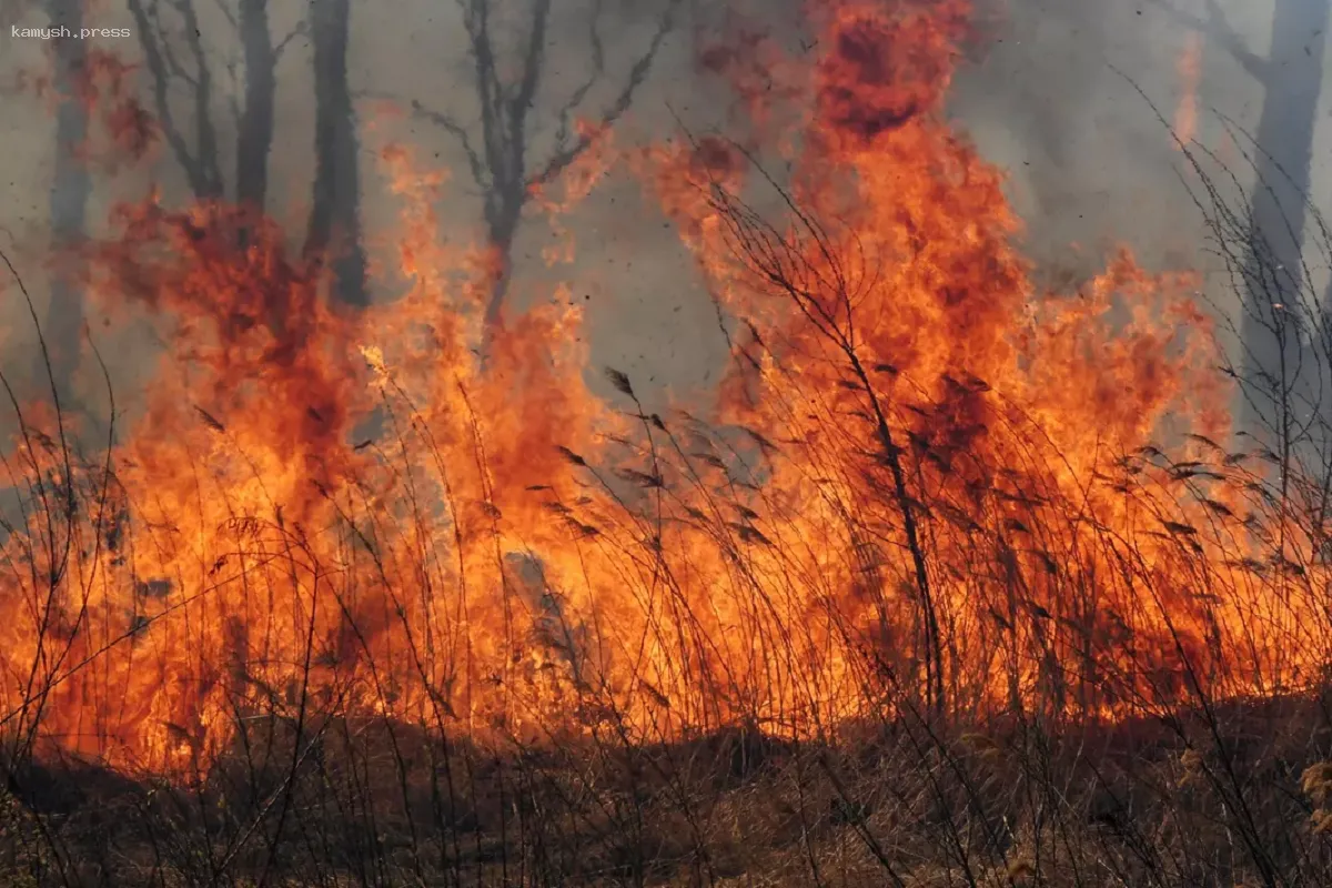 В Красноярском крае за неделю зафиксировано 109 случаев возгорания