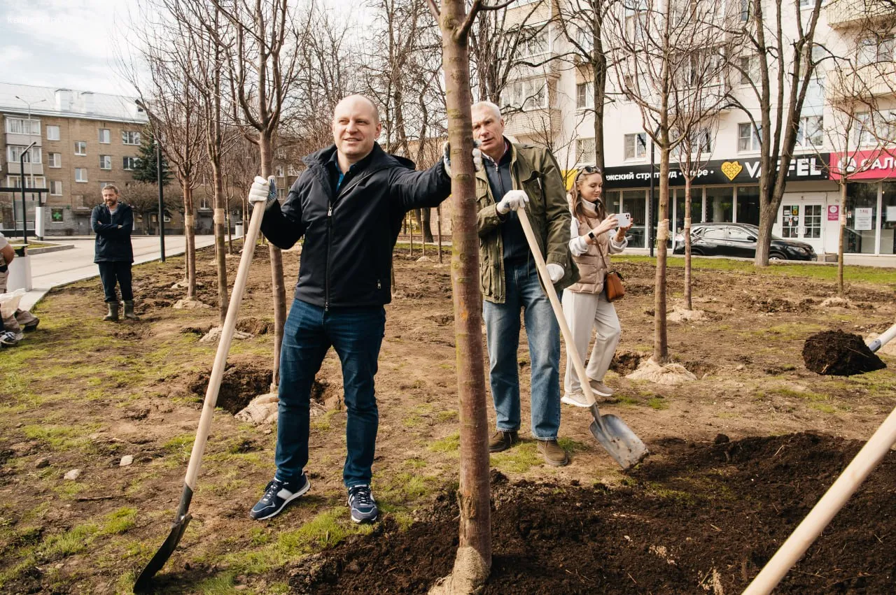 Мэр Пушкинского округа Максим Красноцветов принял участие в акции «Сад Памяти»