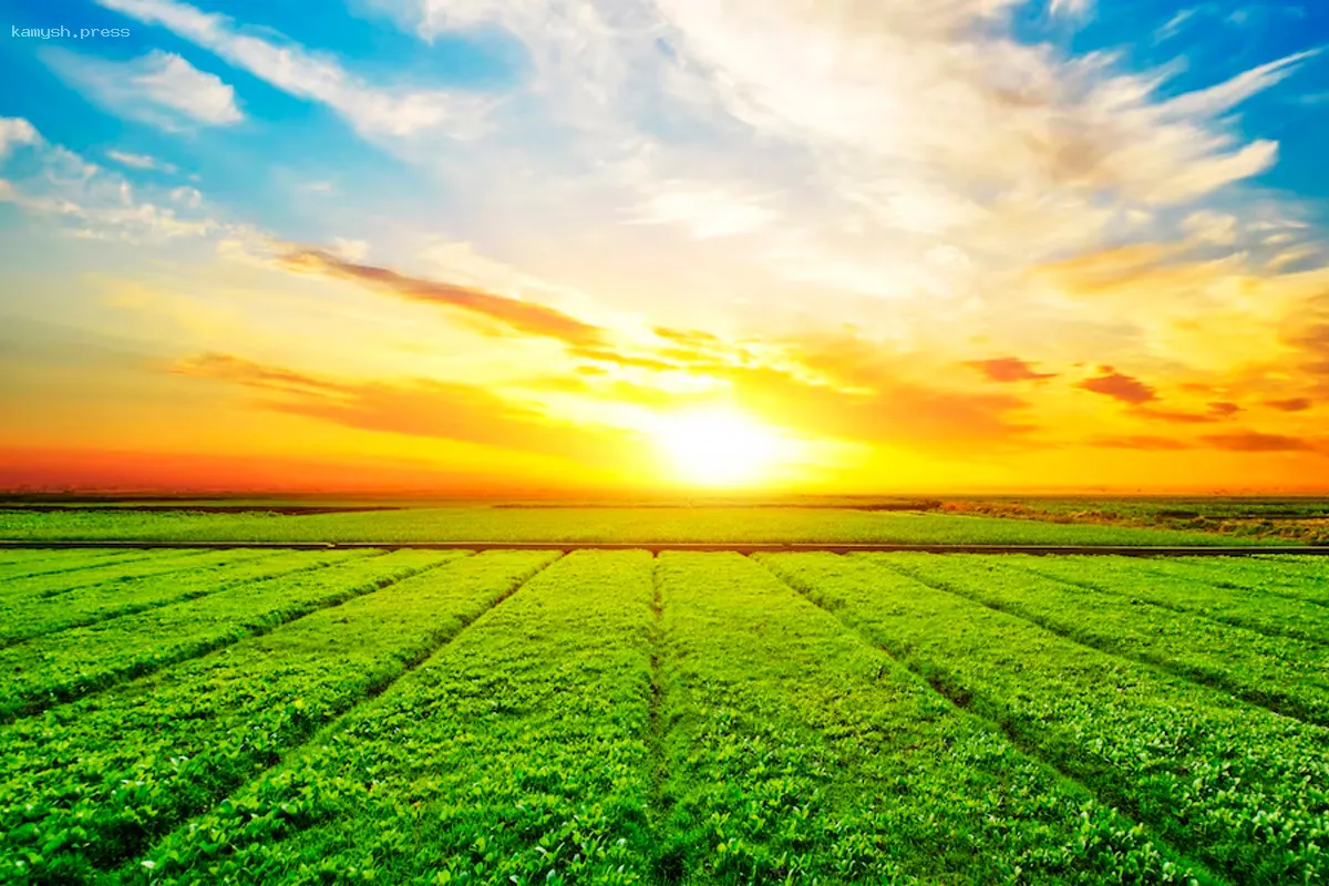 В Вологодской области успешно оцифровали 356 карт сельскохозяйственных угодий