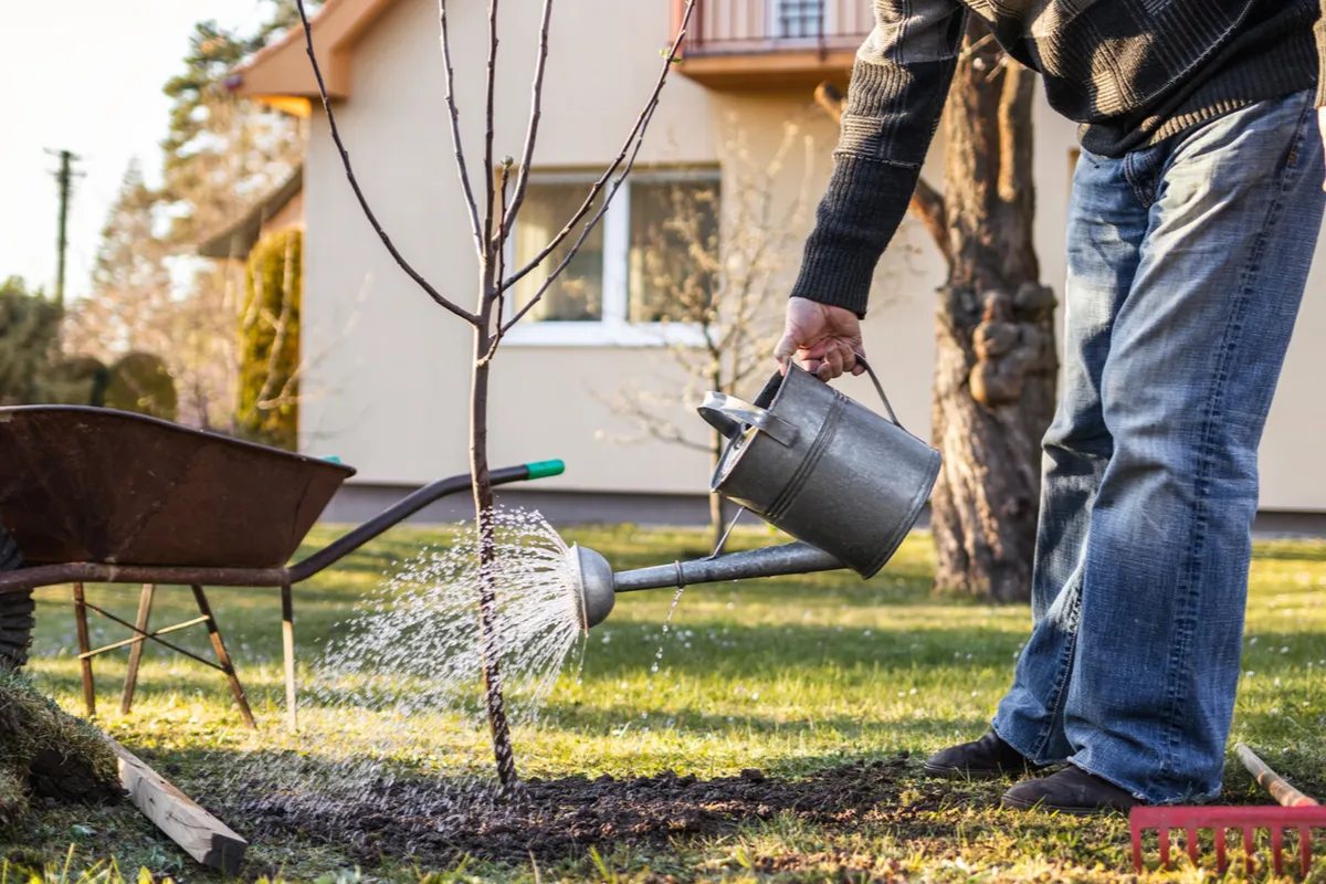 Роскачество предупреждает о возможных последствиях выращивания некоторых растений