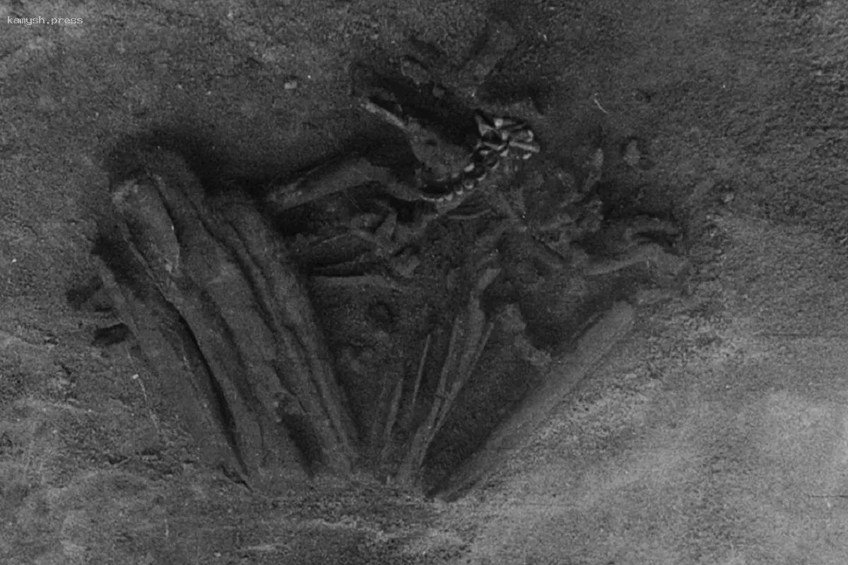 В США раскрытие преступлений основывается на данных с «фермы тел»