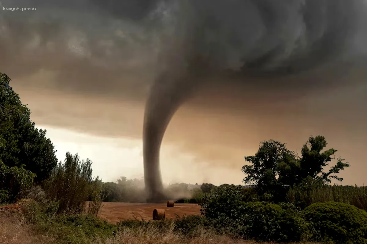 В Новосибирской области ураган повредил крыши школы и колледжа