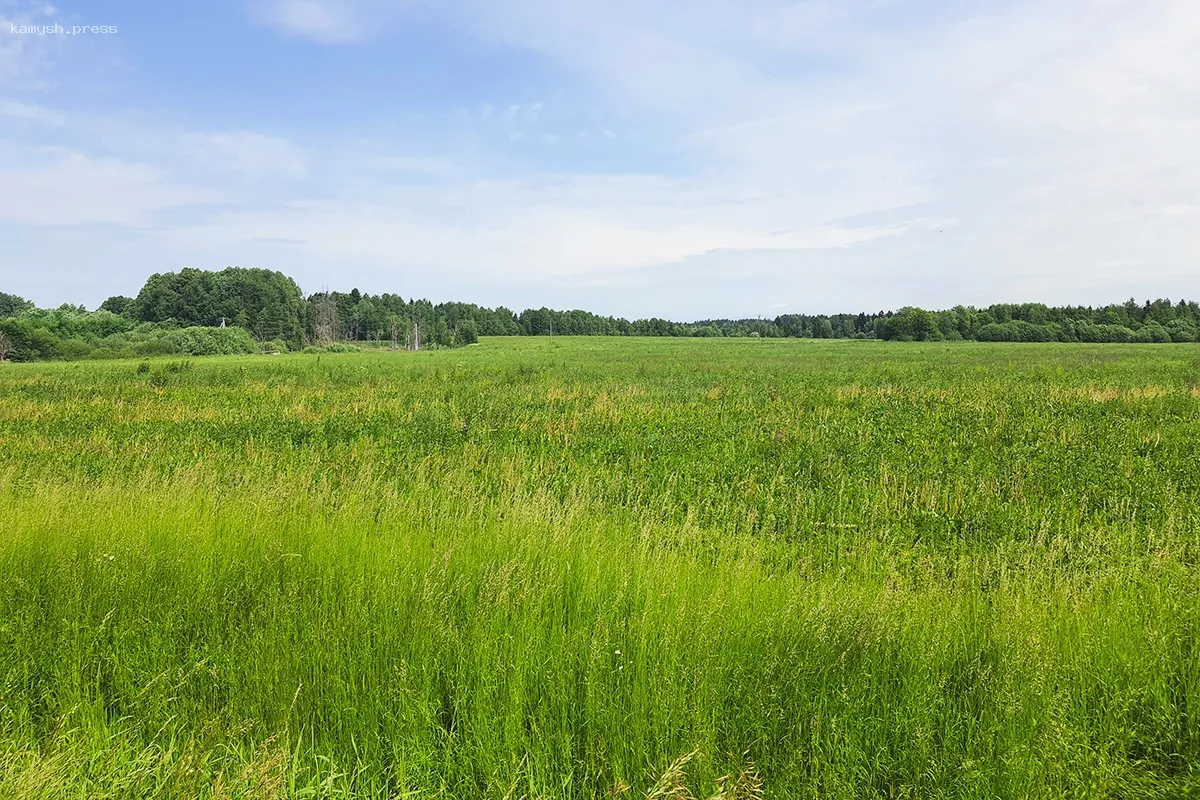 Доходы Ингушетии от аренды земель возросли на 81 миллион рублей