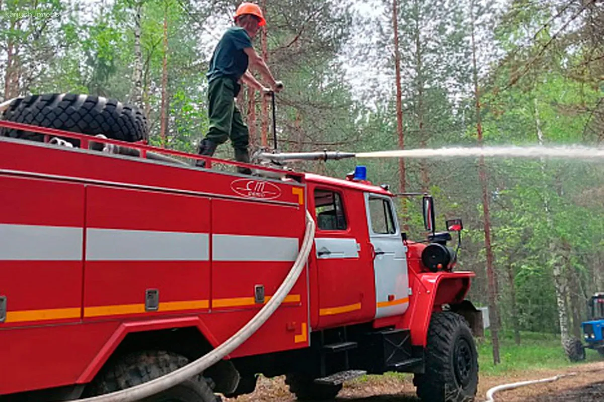 Жителям Кировской области напомнили о штрафах за нарушения пожарной безопасности в лесах