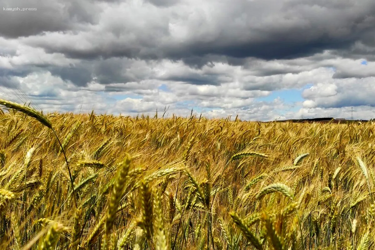 Опубликованы данные о средней зарплате в аграрном секторе Ульяновской области