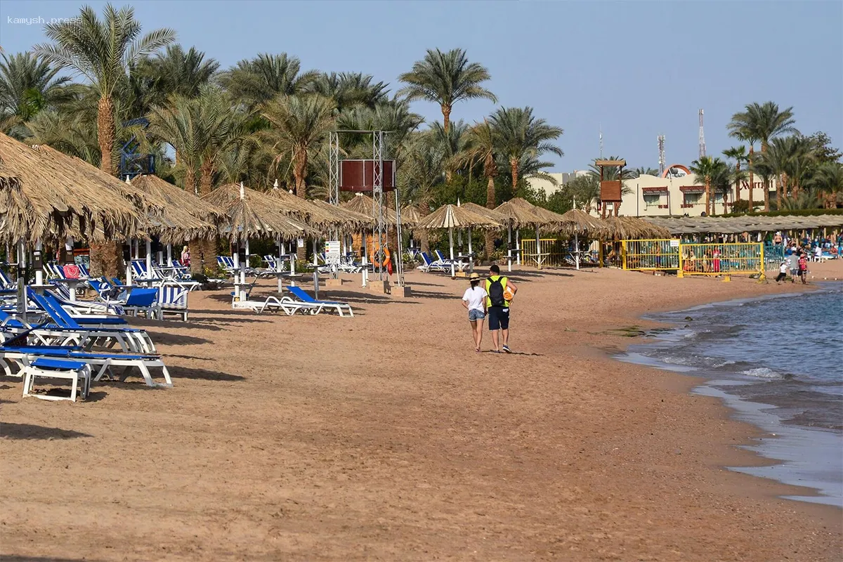 Отдых туристов в Египте под угрозой из-за медуз