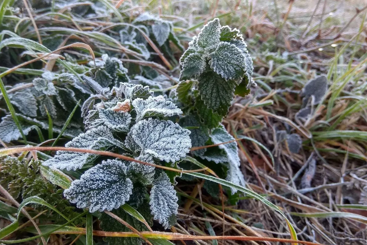 МЧС предупреждает жителей Калужской области о ночных заморозках