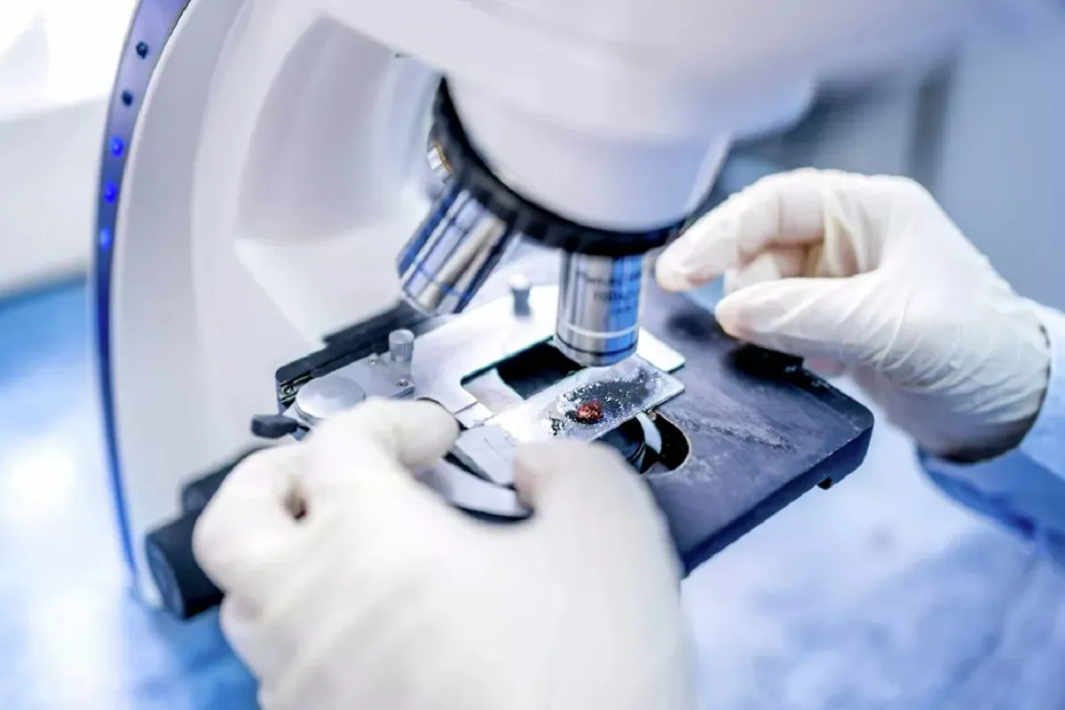 Доктора Великобритании предлагают процедуру удаления микропластика из крови пациентов