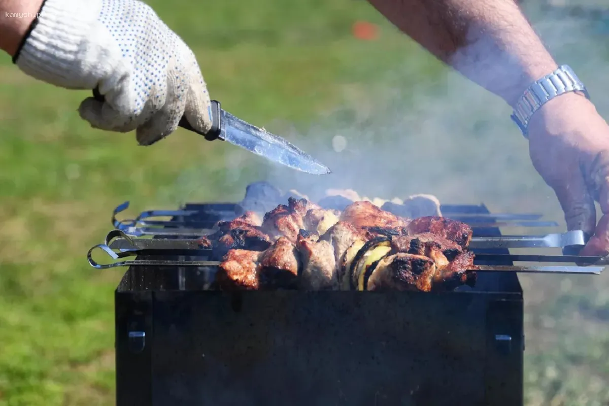 Запрет на разведение костров введен в пяти районах Новосибирской области