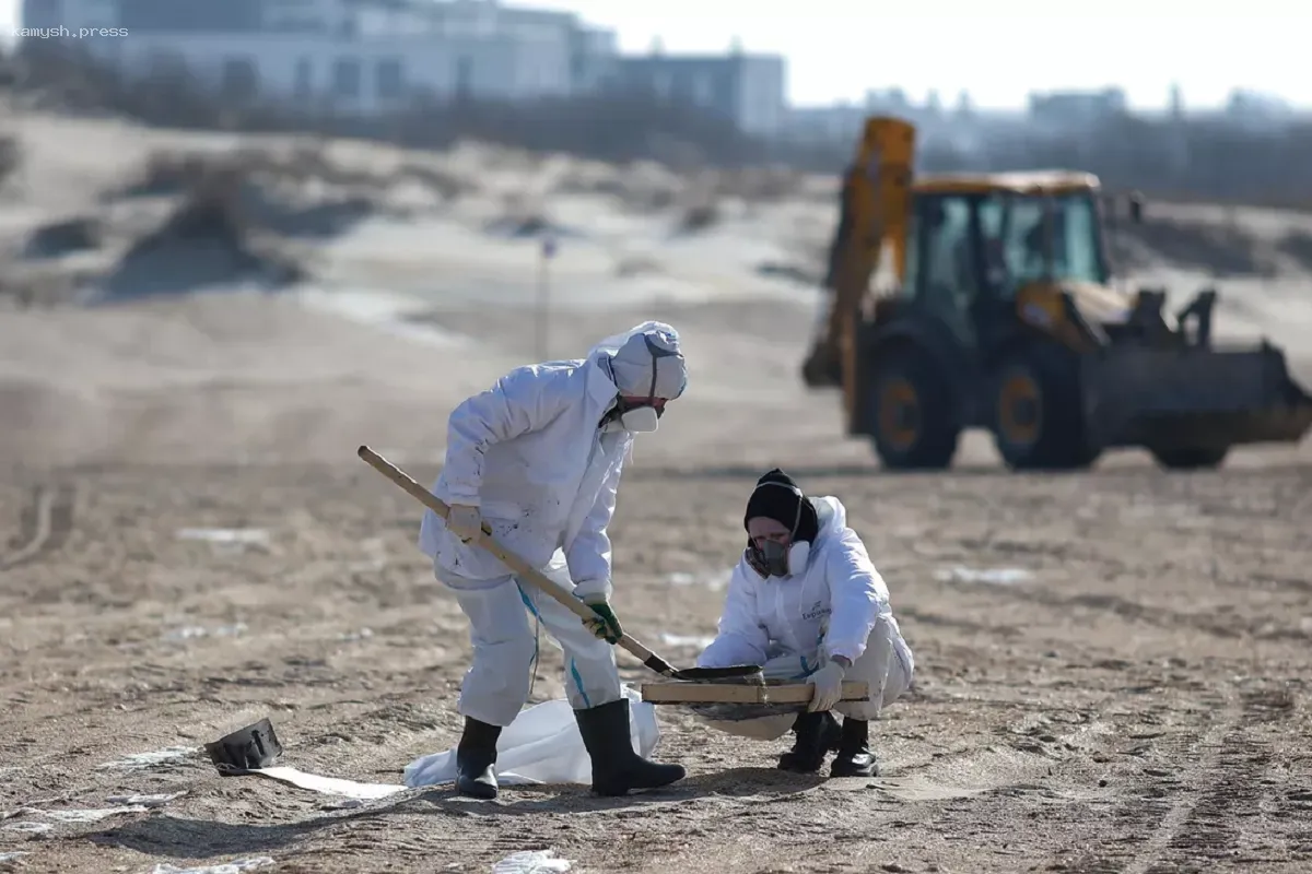 В Анапе и Темрюкском районе закрыты 150 пляжей для купания из-за уборки мазута