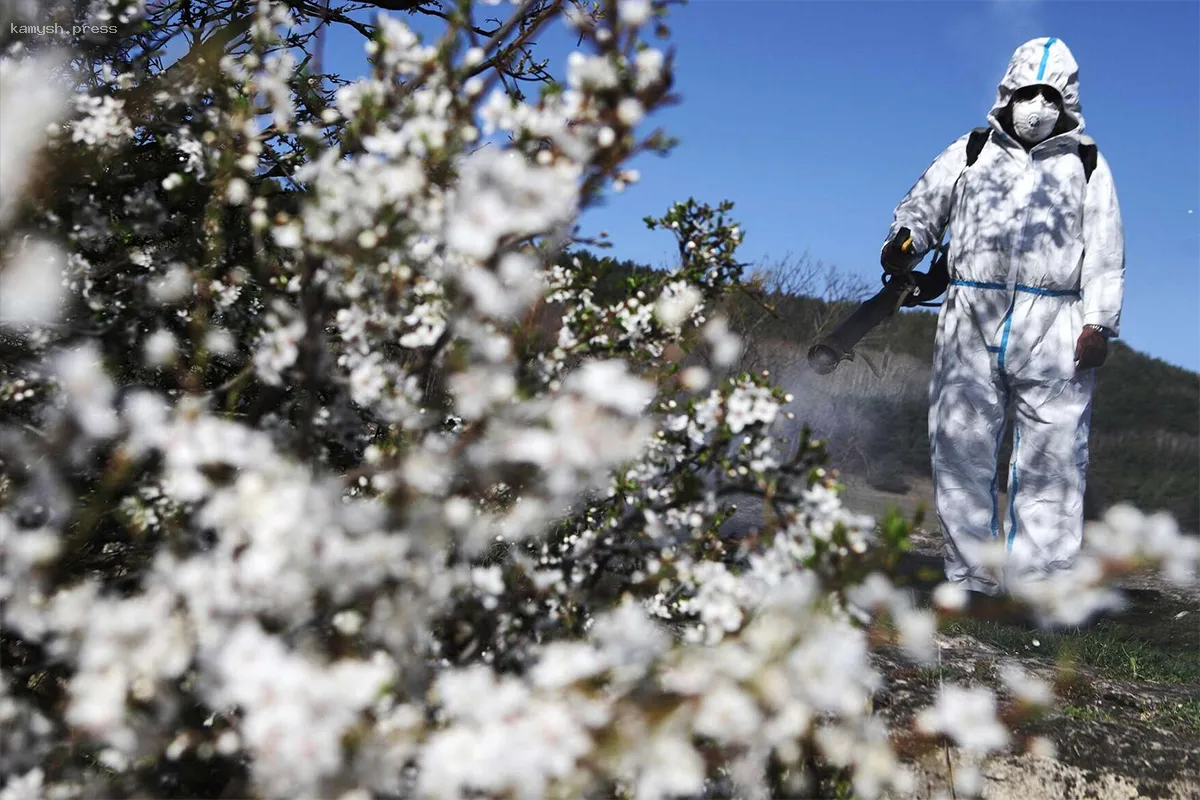 В Биробиджане завершился первый этап борьбы с клещами