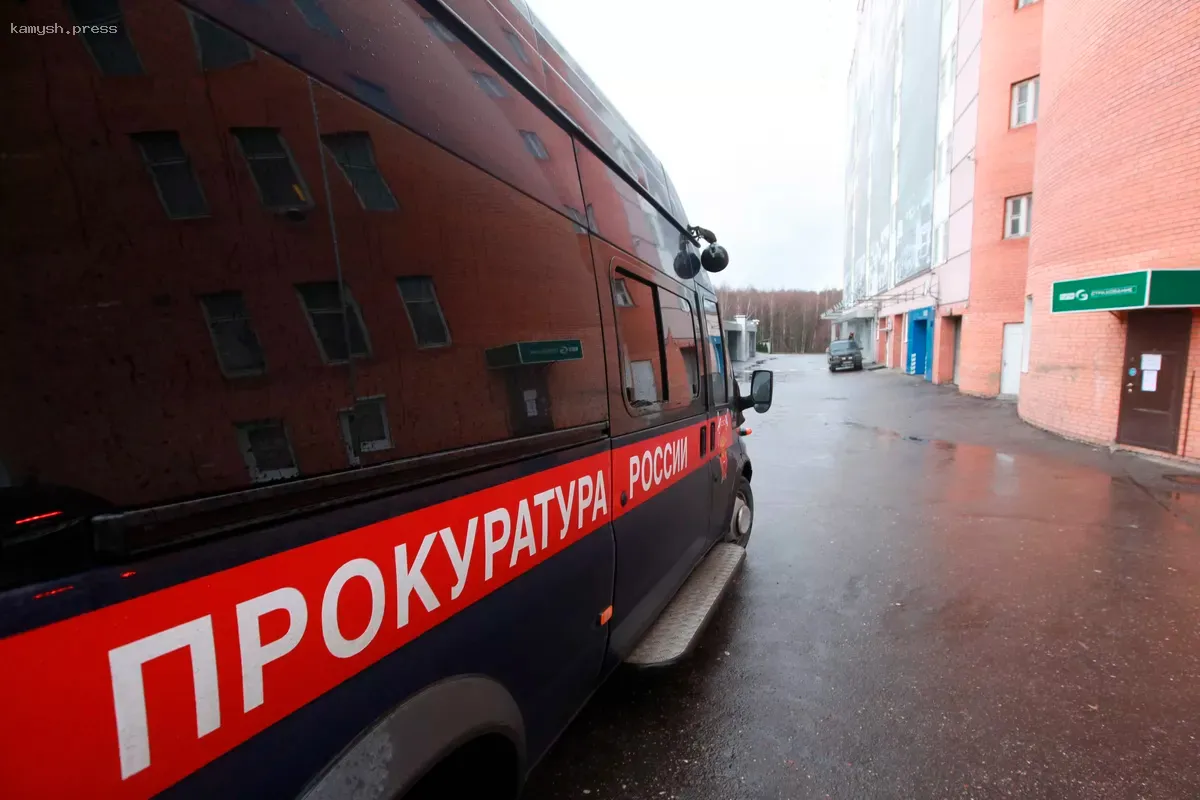 Прокуратура Хабаровского края проводит проверку после инцидента с оставленной в снегу младенцем