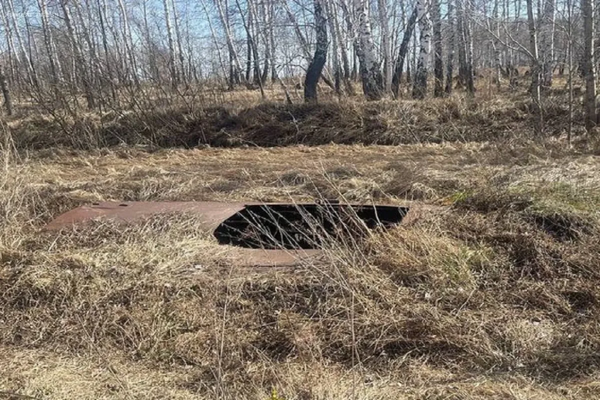 В Новосибирской области проверят законность скотомогильников
