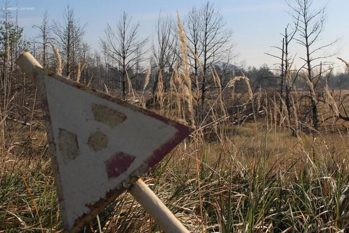 В Удмуртии рядом с хранилищем ядерных отходов выявлен новый вид бактерий