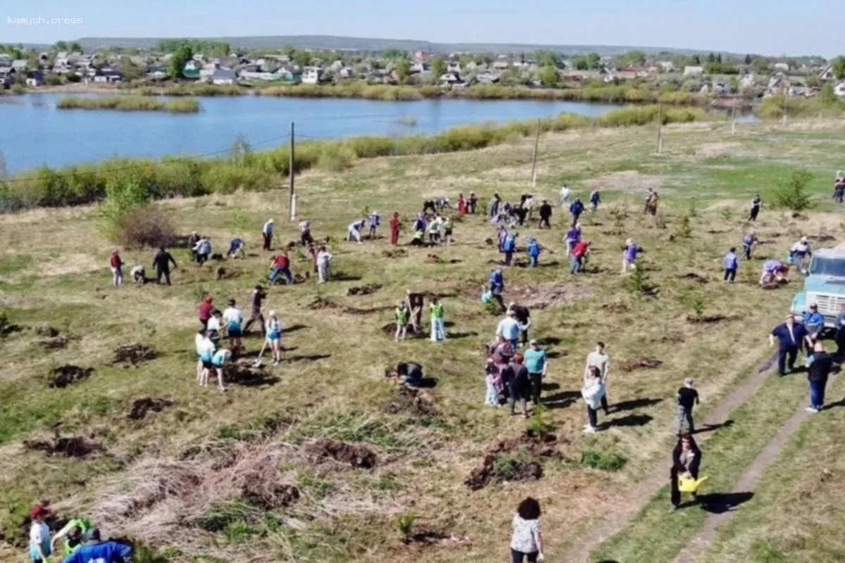 В преддверии Дня Победы в Коркино прошла акция «Лес Победы»
