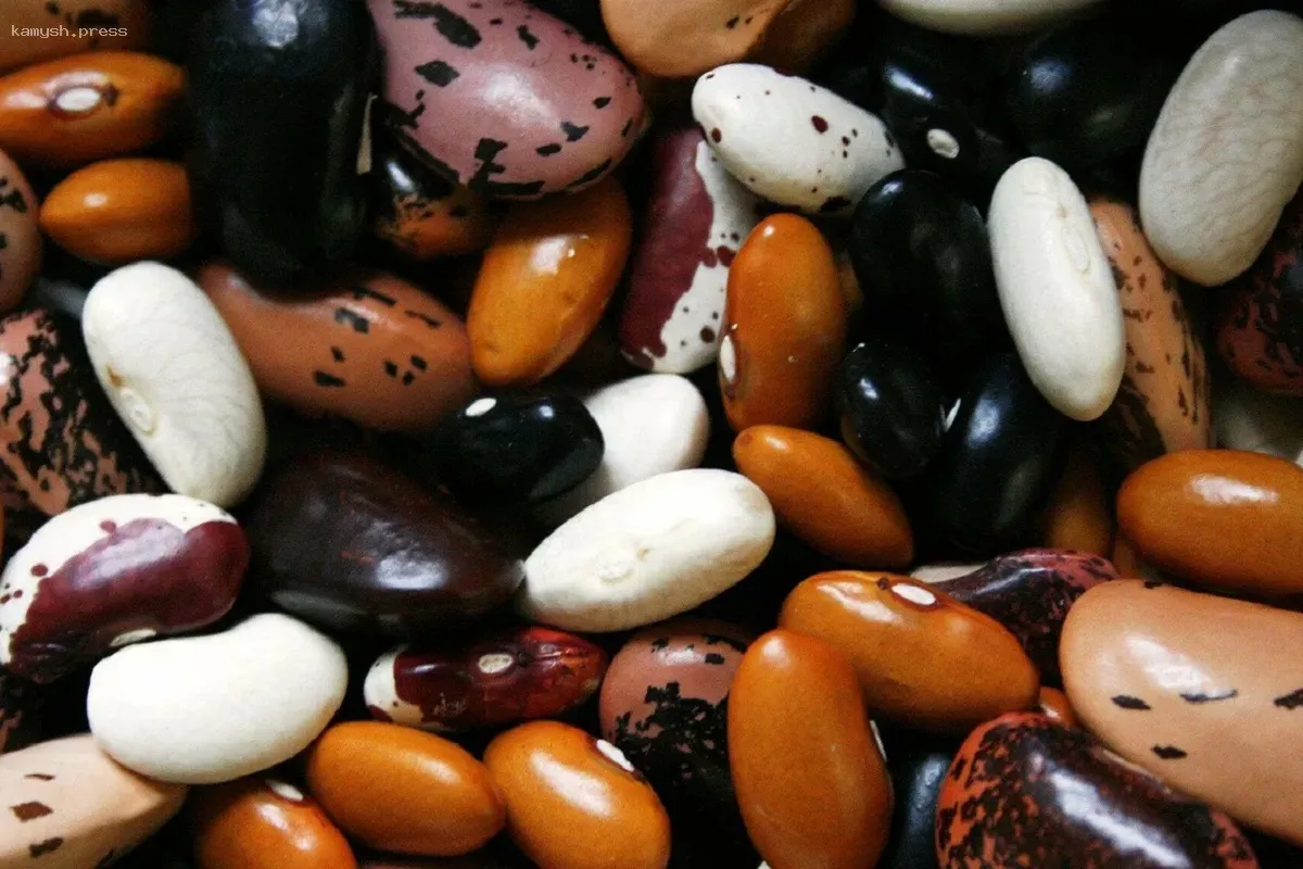 Исследования показывают, что фасоль помогает в борьбе с высоким холестерином и сердечными заболеваниями