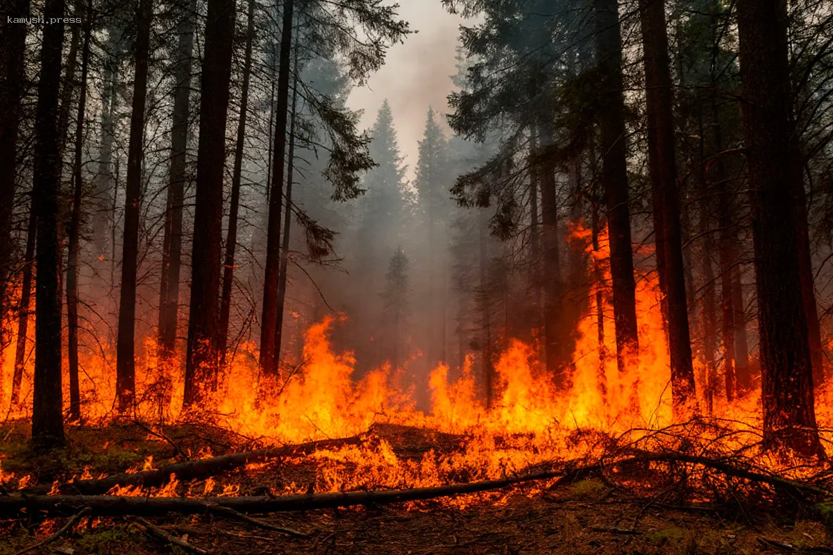 Специалисты МЧС Забайкалья рассказали о пожарной обстановке в регионе