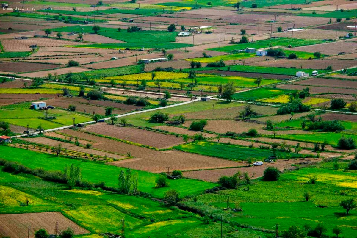 Росреестр выявил основные нарушения в использовании земельных участков в Нижегородской области