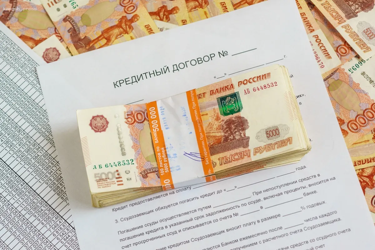 Эксперт Васильева: Введение личных ограничений может отразиться на кредитной истории заемщика