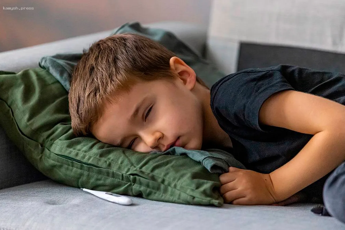 Иммунолог рассказал о причинах вспышки лихорадки чикунгунья во Франции