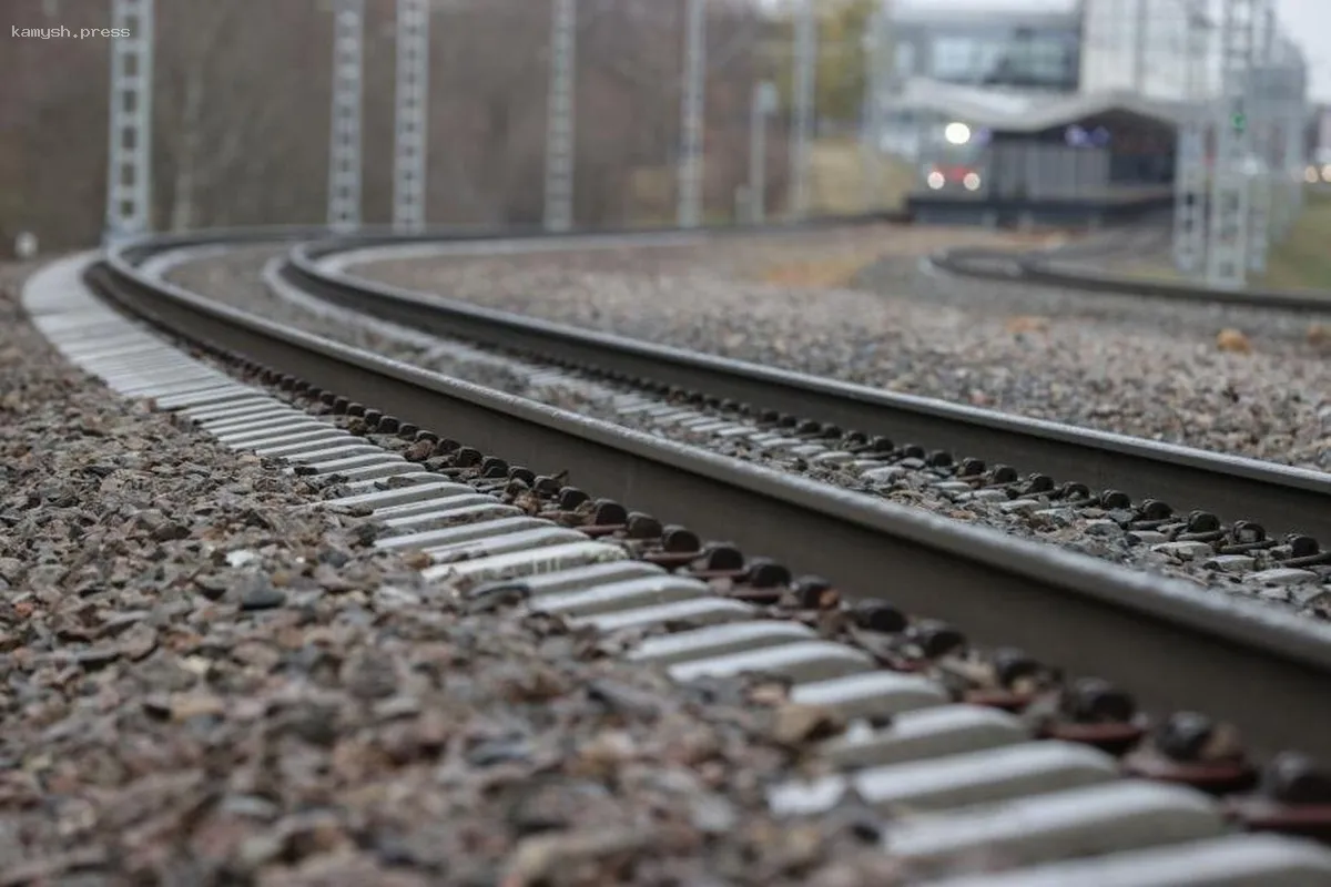 В Беларуси поезд столкнулся с коровами