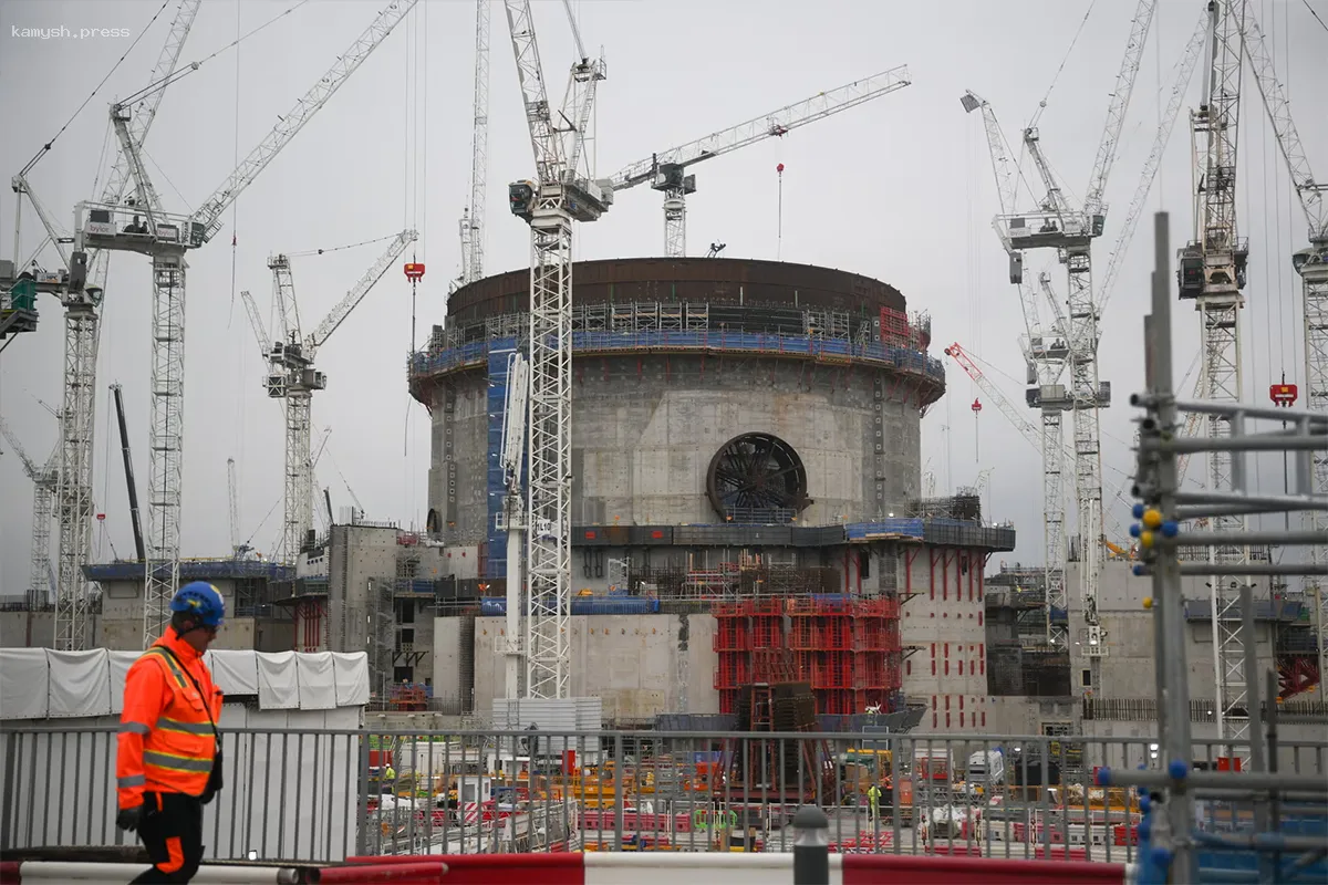 Нашествие крыс на ядерный объект в Великобритании