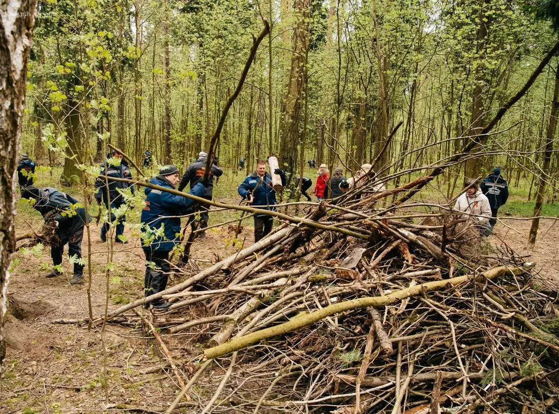 Максим Красноцветов, глава Пушкинского округа, принял участие в субботнике в лесопарке "Северный"