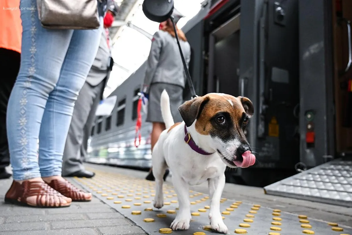 Жители Орловской области реже берут домашних животных в зарубежные поездки
