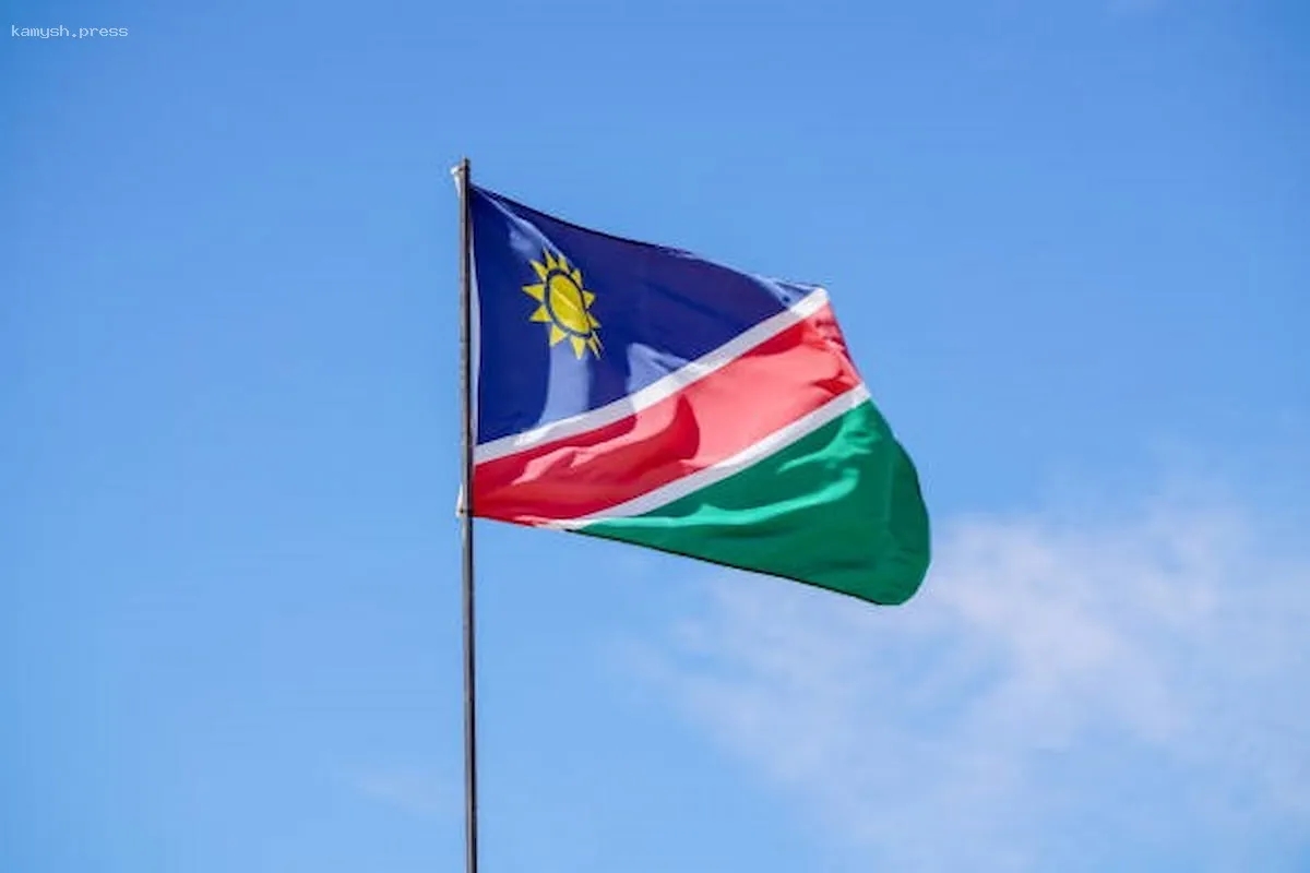 Ярославская область обсуждает возможности сотрудничества с делегацией из Намибии