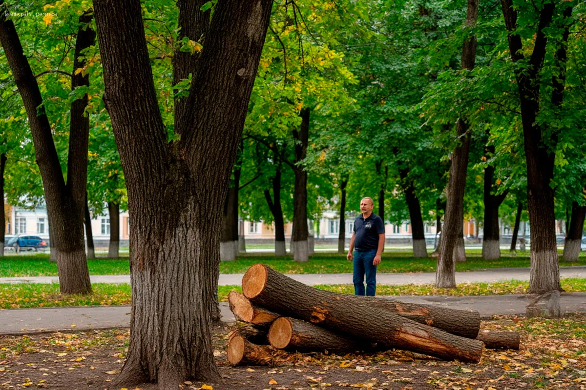 В Ульяновске инициирована проверка законности вырубки деревьев в сквере после обращений граждан