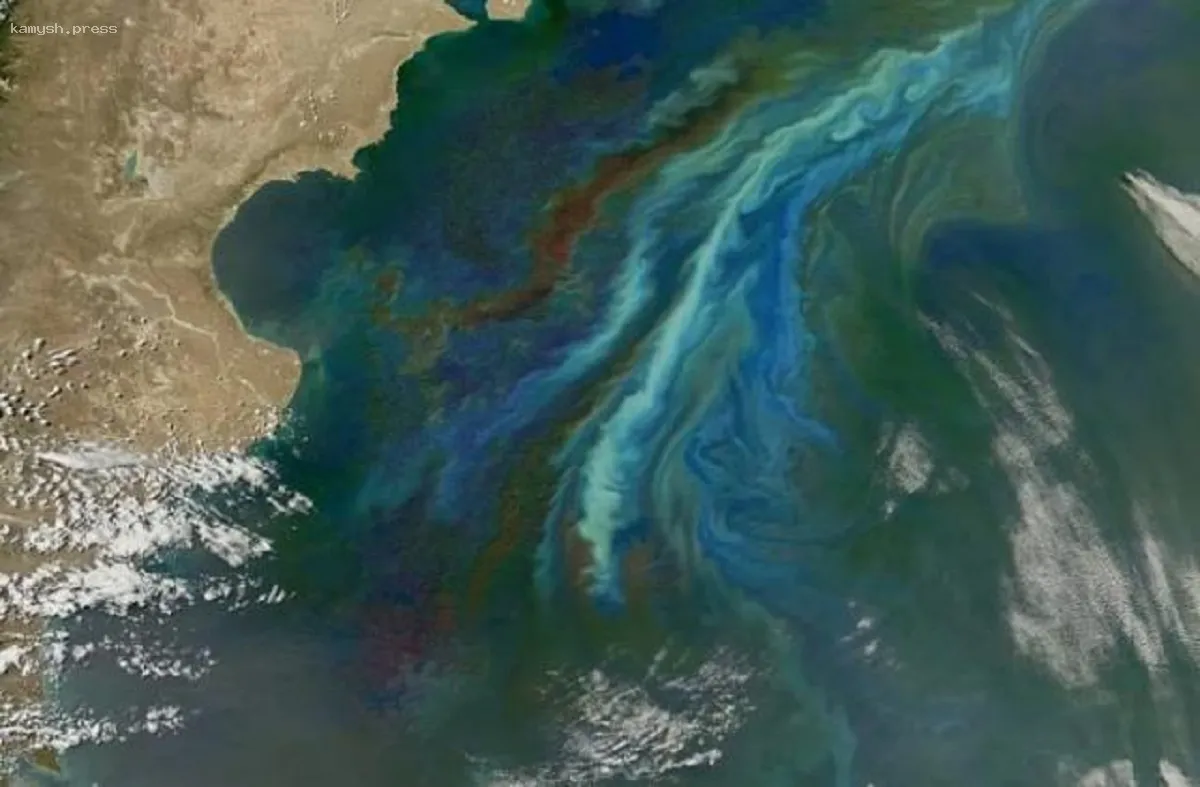 Ученые бьют тревогу: Гольфстрим резко замедляется