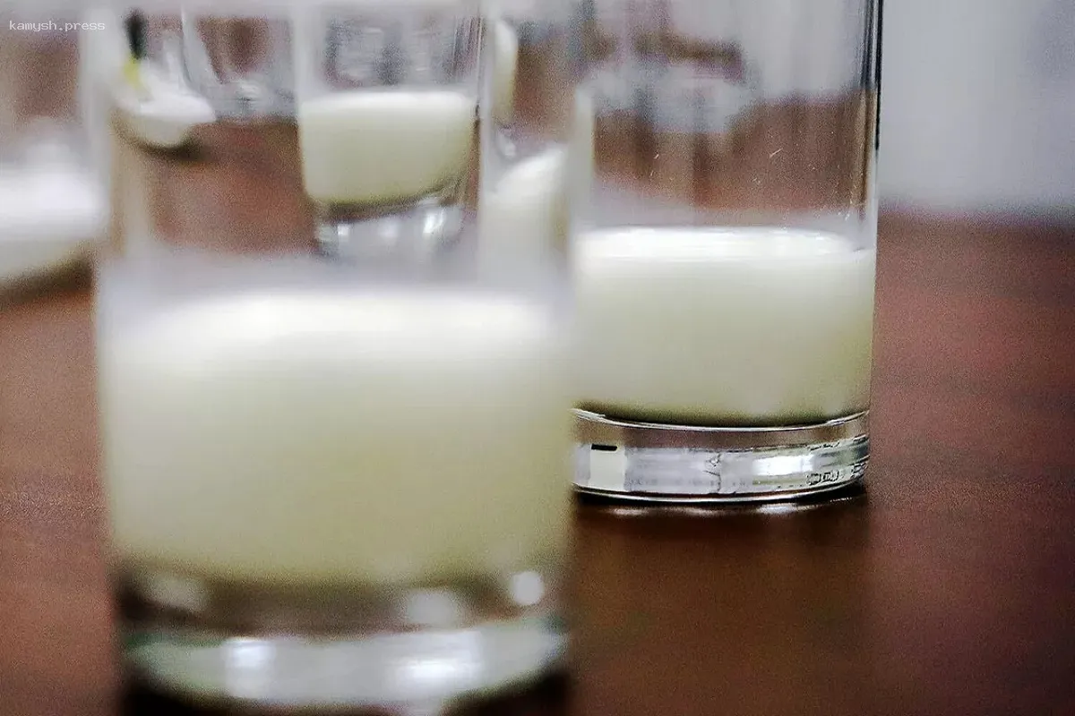 Специалисты назвали кумыс напитком для сильных духом