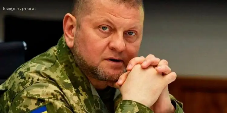 Спікер Залужного відповіла на інформацію медіа про його можливу кандидатуру на пост президента