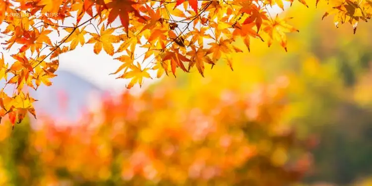 Прогноз погоди в Україні на 20-21 вересня: сонячні та сухі вихідні