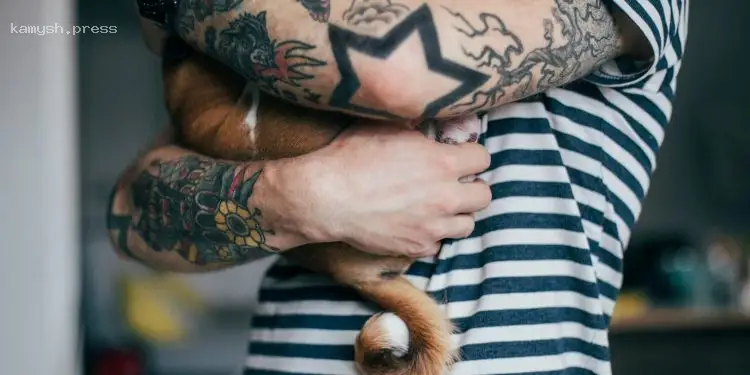 Дослідження: Вплив кількості татуювань на ризик розвитку раку шкіри