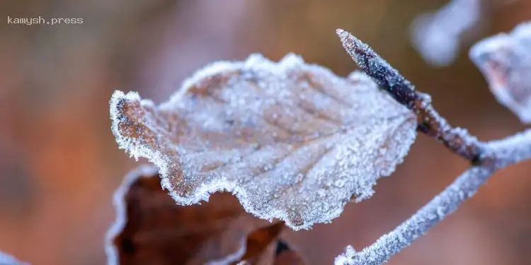 Прогноз погоди на вихідні 27–28 вересня: антициклон принесе холод і тумани