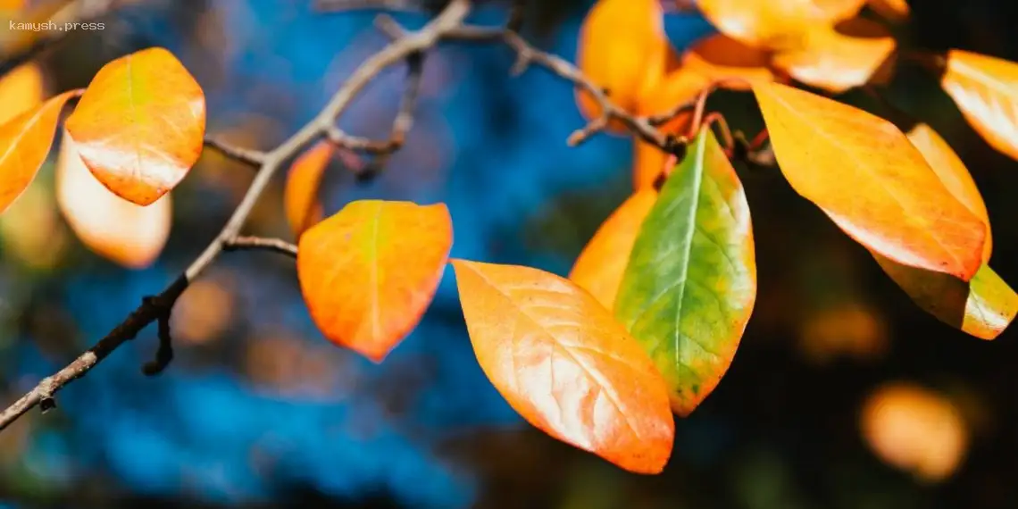 Дощі відходять: синоптики прогнозують погоду на вихідні 11-12 жовтня в Україні